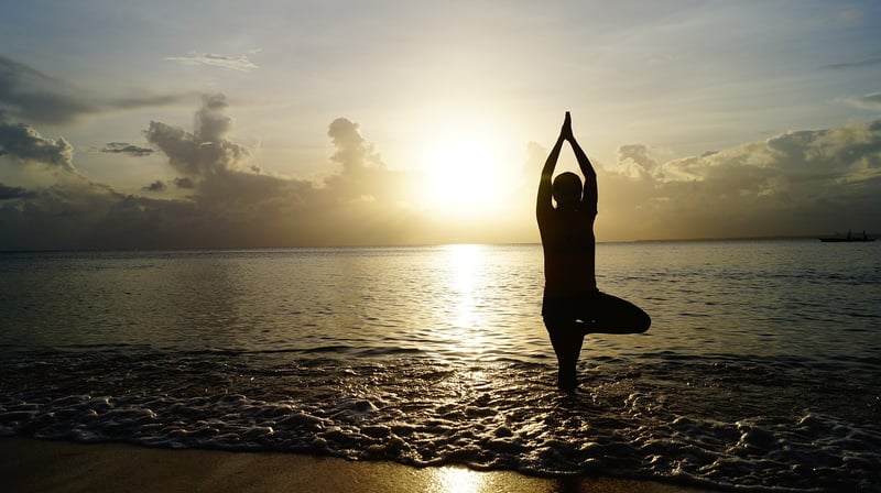 Meditation and Mindfulness